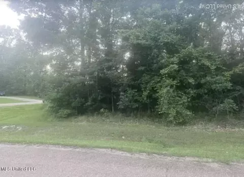 0 Wood Duck Cv, Raymond, MS 39154