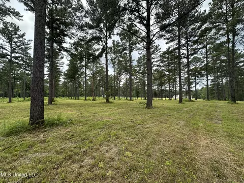 Hidden Pines Lane, Flora, MS 39071