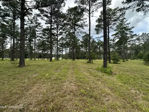 Hidden Pines Lane, Flora, MS 39071 photo 4