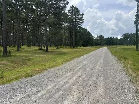 Hidden Pines Lane, Flora, MS 39071 photo 5