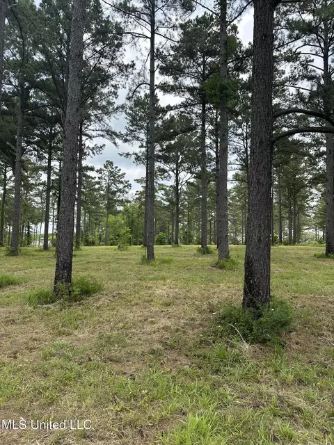 Hidden Pines Lane, Flora, MS 39071 photo 3