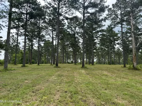 Hidden Pines Lane, Flora, MS 39071 photo 2