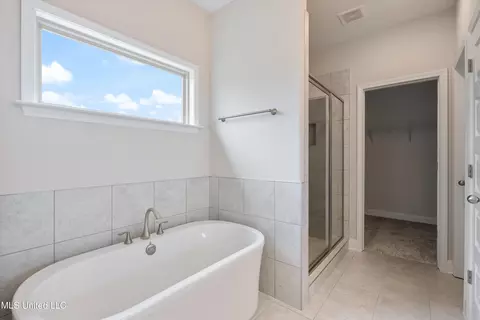Bath - 896 Andys Way, Hernando, MS 38632 photo 2 of 4