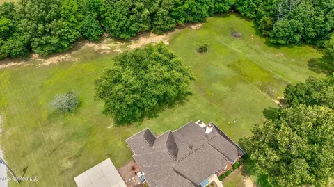 View/Area - 1283 Caleb Ln, Coldwater, MS 38618 photo 3 of 5