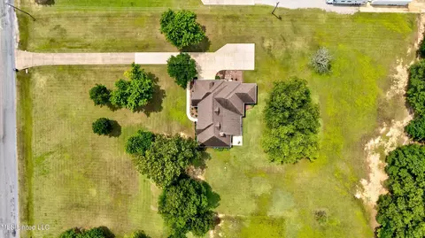View/Area - 1283 Caleb Ln, Coldwater, MS 38618 photo 4 of 5