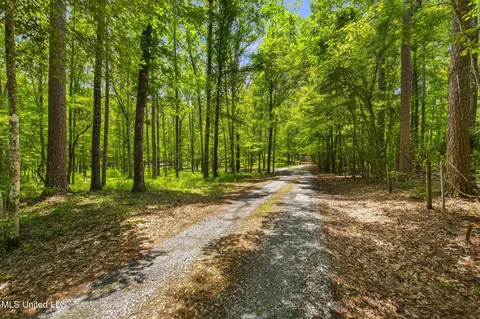 Other - 169 Pine Hill Dr, Brandon, MS 39047 photo 27 of 34