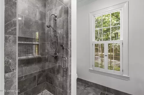 Bath - 169 Pine Hill Dr, Brandon, MS 39047 photo 7 of 12