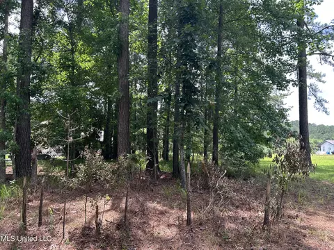 00 Cypress Rd, Pachuta, MS 39347 photo 6