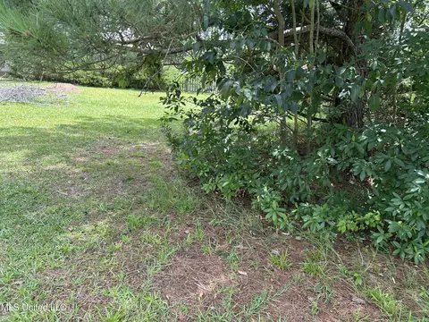 00 Cypress Rd, Pachuta, MS 39347 photo 3