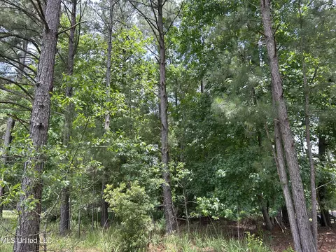 00 Cypress Rd, Pachuta, MS 39347 photo 4