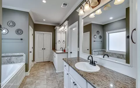 Bath - 147 Grayhawk Dr, Madison, MS 39110 photo 6 of 8