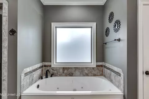 Bath - 147 Grayhawk Dr, Madison, MS 39110 photo 4 of 8