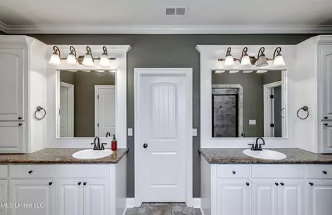 Bath - 147 Grayhawk Dr, Madison, MS 39110 photo 8 of 8