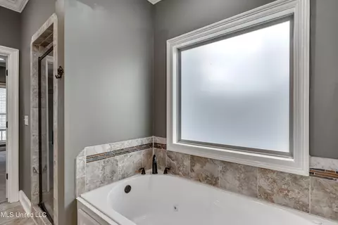 Bath - 147 Grayhawk Dr, Madison, MS 39110 photo 5 of 8