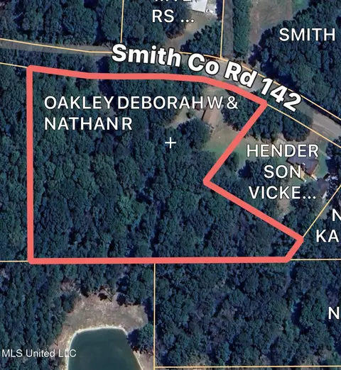 Other - 873 Smith Co Rd 142, Morton, MS 39117 photo 10 of 14