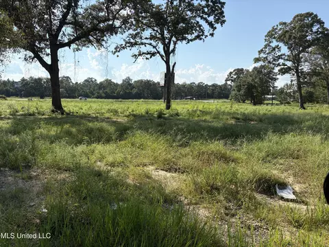 Us 49, Mchenry, MS 39561 photo 3