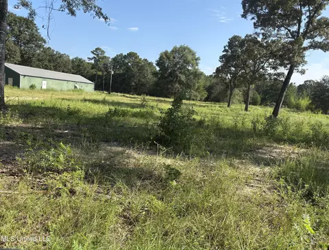 Us 49, Mchenry, MS 39561 photo 5