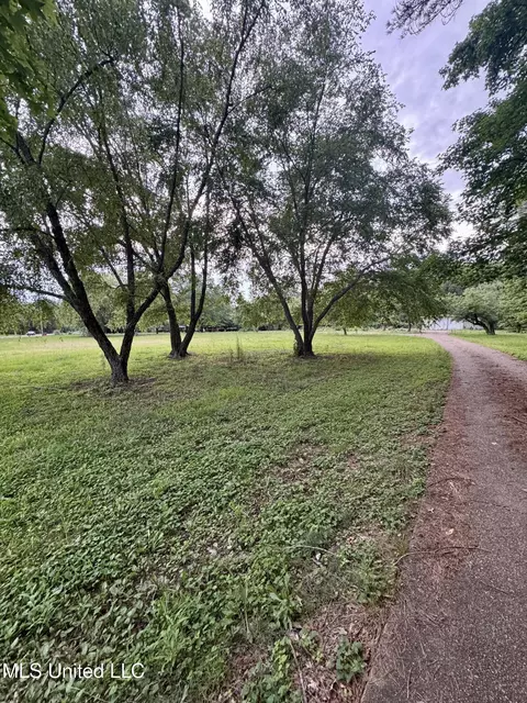 29757 Hwy 32, Charleston, MS 38921 photo 2