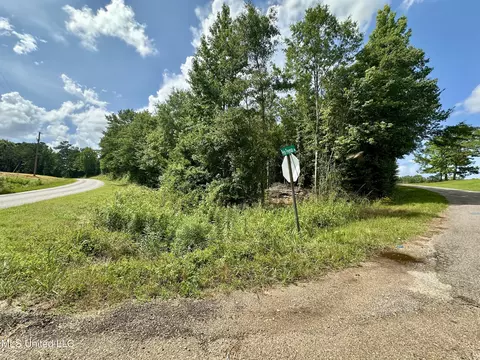 66 Pete Freeman Rd, Decatur, MS 39327