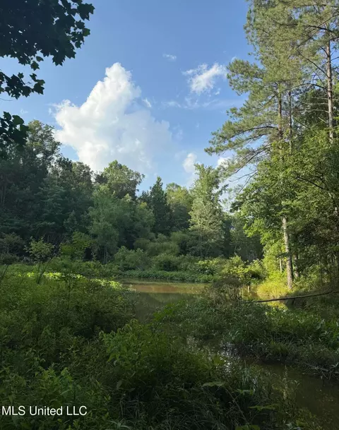 40 Acres Hwy 35, Mount Olive, MS 39119 photo 3