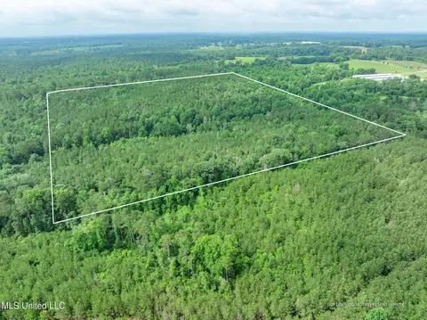 40 Acres Hwy 35, Mount Olive, MS 39119 photo 14