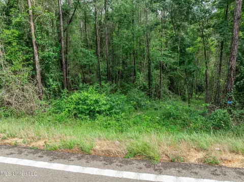 40 Acres Hwy 35, Mount Olive, MS 39119 photo 15