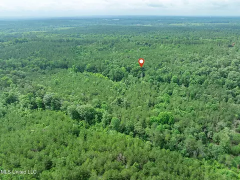 40 Acres Hwy 35, Mount Olive, MS 39119 photo 25