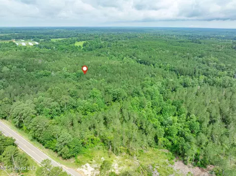 40 Acres Hwy 35, Mount Olive, MS 39119 photo 27