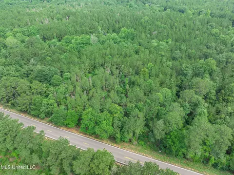 40 Acres Hwy 35, Mount Olive, MS 39119 photo 18