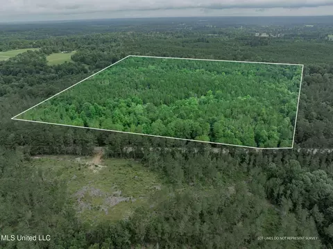 40 Acres Hwy 35, Mount Olive, MS 39119