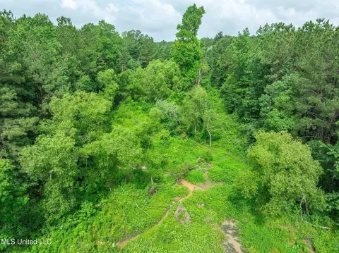 40 Acres Hwy 35, Mount Olive, MS 39119 photo 17