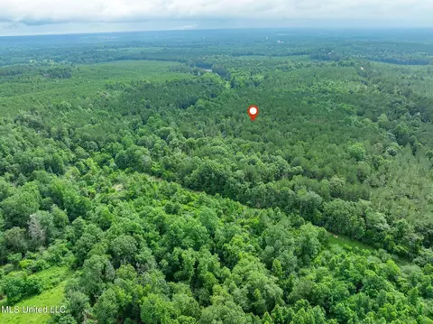 40 Acres Hwy 35, Mount Olive, MS 39119 photo 24