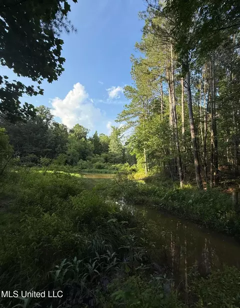 40 Acres Hwy 35, Mount Olive, MS 39119 photo 4