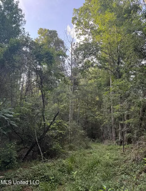 40 Acres Hwy 35, Mount Olive, MS 39119 photo 10