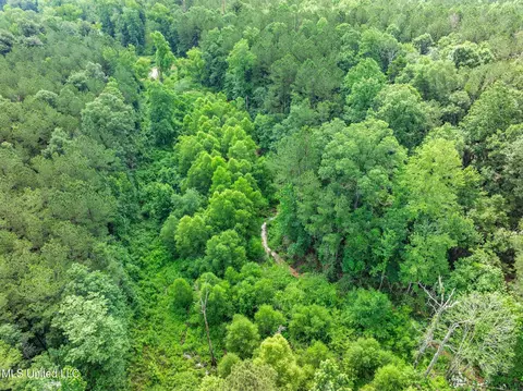 40 Acres Hwy 35, Mount Olive, MS 39119 photo 16