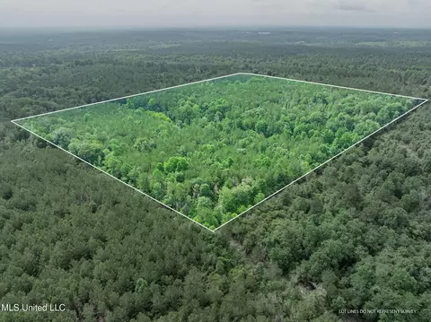 40 Acres Hwy 35, Mount Olive, MS 39119 photo 13