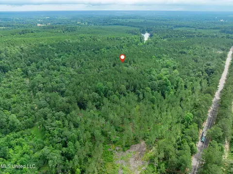40 Acres Hwy 35, Mount Olive, MS 39119 photo 23
