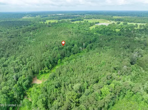 40 Acres Hwy 35, Mount Olive, MS 39119 photo 26