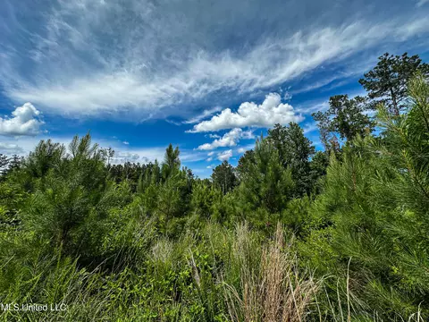 0002 Garrett Creek Loop, Pontotoc, MS 38863 photo 34