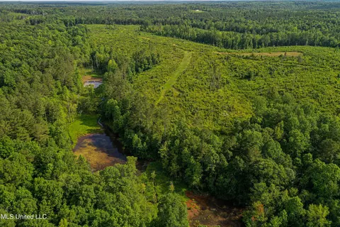 0002 Garrett Creek Loop, Pontotoc, MS 38863 photo 3