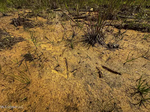 0002 Garrett Creek Loop, Pontotoc, MS 38863 photo 8