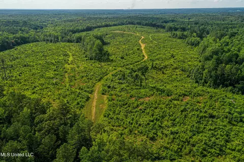 0002 Garrett Creek Loop, Pontotoc, MS 38863 photo 25