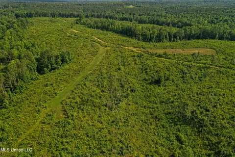 0002 Garrett Creek Loop, Pontotoc, MS 38863 photo 33