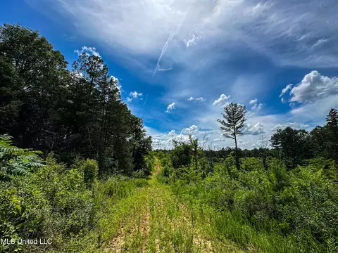 0002 Garrett Creek Loop, Pontotoc, MS 38863 photo 22
