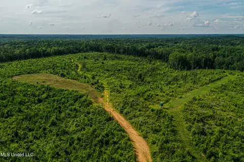 0002 Garrett Creek Loop, Pontotoc, MS 38863 photo 37