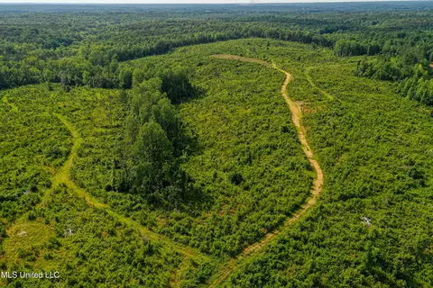 0002 Garrett Creek Loop, Pontotoc, MS 38863 photo 27