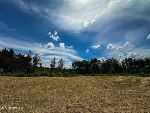 0002 Garrett Creek Loop, Pontotoc, MS 38863 photo 18