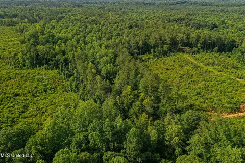 0002 Garrett Creek Loop, Pontotoc, MS 38863 photo 39