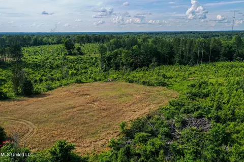 0002 Garrett Creek Loop, Pontotoc, MS 38863 photo 11