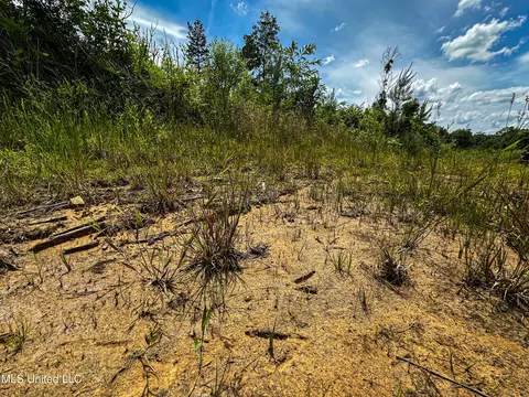 0002 Garrett Creek Loop, Pontotoc, MS 38863 photo 26